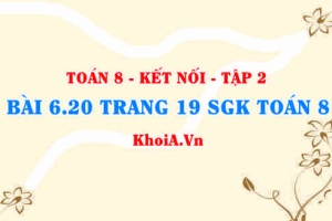 Bài 6.20 trang 19 Toán 8 Kết nối tri thức Tập 2